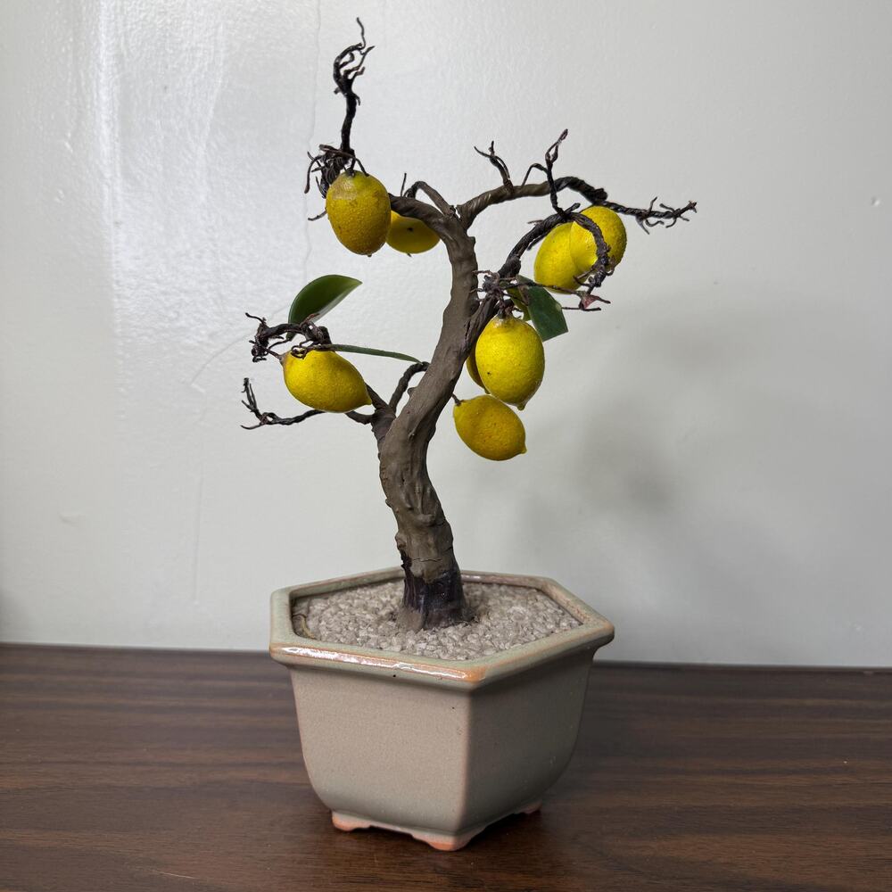 Vintage Japanese Bonsai Tree Lemons